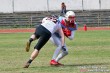 Thumbs/tn_gfl2pc049.jpg