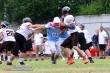 Thumbs/tn_gfl2pc207.jpg