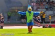 Thumbs/tn_IMG_3945.jpg
