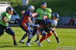 Thumbs/tn_IMG_4526.jpg