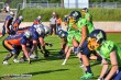 Thumbs/tn_IMG_4585.jpg