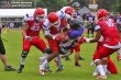 Thumbs/tn_IMG_5666.jpg