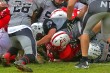 Thumbs/tn_IMG_6384.jpg