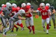 Thumbs/tn_IMG_6417.jpg