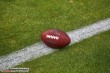 Thumbs/tn_IMG_6971.jpg