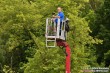 Thumbs/tn_IMG_7795.jpg