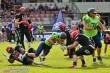 Thumbs/tn_IMG_7872.jpg