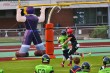 Thumbs/tn_IMG_8142.jpg