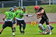 Thumbs/tn_IMG_8333.jpg