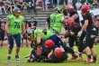 Thumbs/tn_IMG_8353.jpg