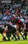 Thumbs/tn_IMG_8870.jpg