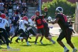 Thumbs/tn_IMG_8926.jpg