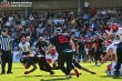 Thumbs/tn_IMG_8937.jpg