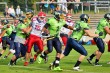 Thumbs/tn_IMG_2847.jpg