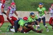 Thumbs/tn_IMG_3068.jpg