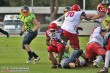 Thumbs/tn_IMG_3106.jpg