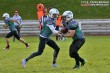 Thumbs/tn_IMG_4184.jpg