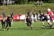 Thumbs/tn_IMG_6936.jpg