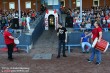 Thumbs/tn_IMG_7237.jpg