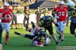 Thumbs/tn_IMG_7339.jpg
