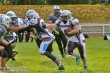 Thumbs/tn_IMG_7667.jpg