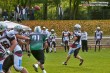 Thumbs/tn_IMG_7670.jpg