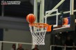 Thumbs/tn_IMG_8294.jpg