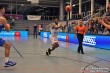 Thumbs/tn_IMG_3641.jpg