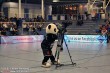 Thumbs/tn_IMG_6878.jpg