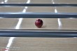 Thumbs/tn_IMG_1732.jpg