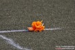 Thumbs/tn_IMG_2767.jpg