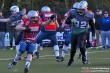Thumbs/tn_IMG_2924.jpg