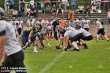 Thumbs/tn_IMG_5611.jpg