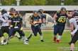 Thumbs/tn_IMG_5628.jpg