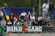Thumbs/tn_IMG_5937.jpg