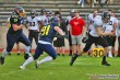 Thumbs/tn_IMG_5942.jpg