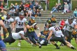 Thumbs/tn_IMG_5950.jpg