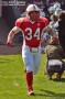 Thumbs/tn_IMG_6279.jpg
