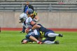 Thumbs/tn_IMG_7980.jpg