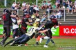 Thumbs/tn_IMG_8747.jpg
