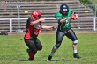 Thumbs/tn_IMG_9598.jpg