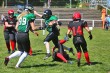 Thumbs/tn_IMG_9611.jpg