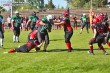 Thumbs/tn_IMG_9798.jpg