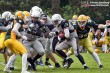 Thumbs/tn_IMG_0045.jpg