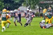 Thumbs/tn_IMG_0049.jpg