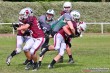 Thumbs/tn_IMG_0761.jpg