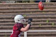 Thumbs/tn_IMG_0898.jpg