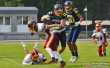 Thumbs/tn_IMG_3853.jpg