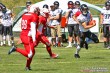 Thumbs/tn_IMG_5017.jpg