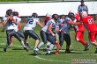 Thumbs/tn_IMG_5136.jpg